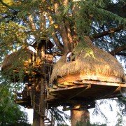Séjour et événements sur-mesure : cabanes dans les arbres
