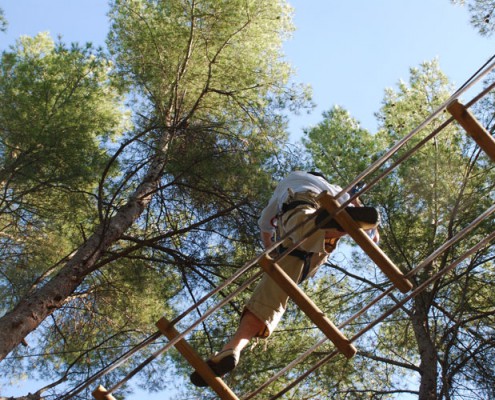 balade en hauteur dans les arbres événementiels sur-mesure